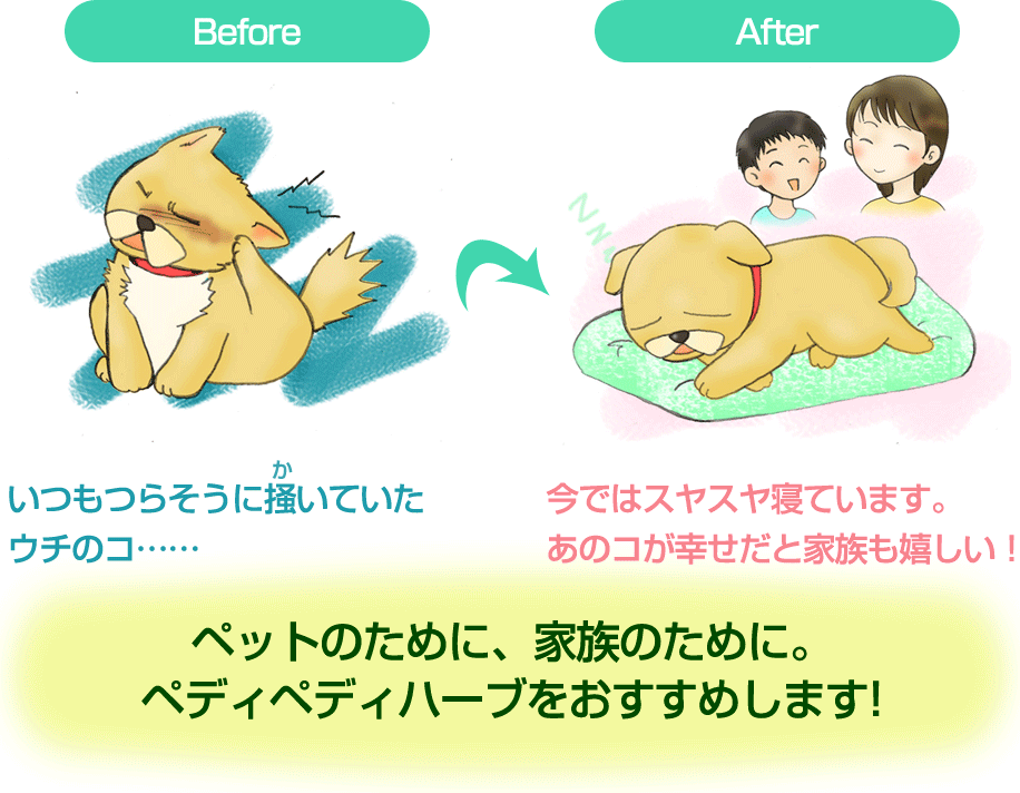 Before&After ペットのために、家族のために。ペディペディハーブをおすすめします！ 