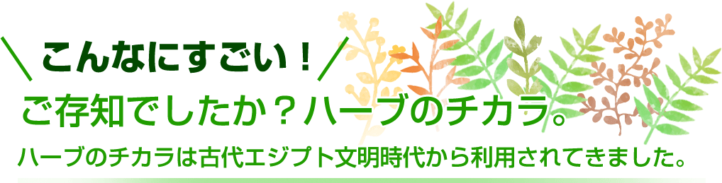 こんなにすごい！ご存知でしたか？ハーブのチカラ。ハーブのチカラは古代エジプト文明時代から利用されてきました。