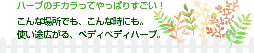 ハーブのチカラってやっぱりすごい！こんな場所でも、こんな時にも。使い途広がる、ペディペディハーブ。