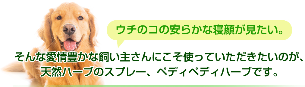 ウチのコの安らかな寝顔が見たい。そんな愛情豊かな飼い主さんにこそ使っていただきたいのが、天然ハーブのスプレー、ペディペディハーブです。